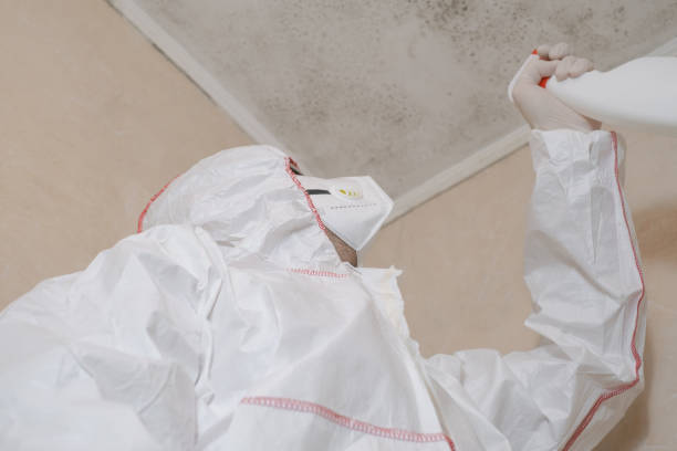 Best Mold Damage Repair  in Atmore, AL
