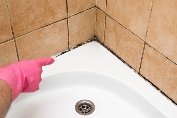 Best Residential Mold Removal  in Atmore, AL